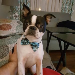 Meet your Posher, Troy